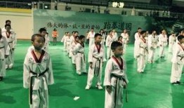 洪英跆拳道爆料事件視頻,真相與爭(zhēng)議的交織